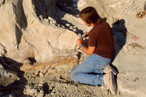 Ученые нашли влюбленных динозавров Ученые нашли влюбленных динозавров