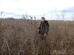 В Брянском районе погибают пять гектаров земли