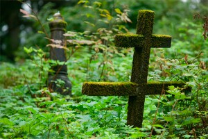 За запущенные могилы оштрафуют на 5 тыс. За запущенные могилы оштрафуют на 5 тыс.