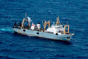 "Дальний Восток" погубила жадность "Дальний Восток" погубила жадность