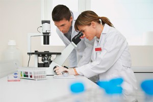 Ученые изобрели бумагу прочнее стали Ученые изобрели бумагу прочнее стали