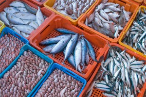 Цена на рыбу выросла на 31% Цена на рыбу выросла на 31%