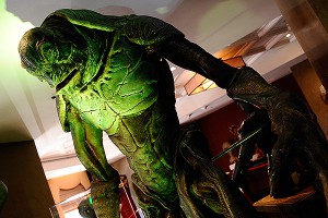 На дачный поселок в Чите упал НЛО На дачный поселок в Чите упал НЛО