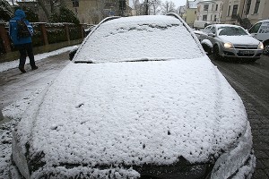 В Москве выпадет мокрый снег В Москве выпадет мокрый снег