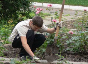 Заработать денег летом смогут более трех тысяч школьников