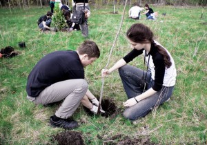 В Брянске могут появиться «детские» аллеи