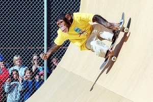 Обезьян приравняли к американцам Обезьян приравняли к американцам