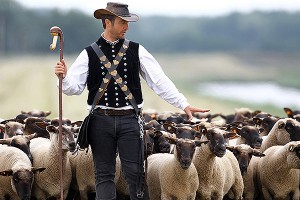 В Дании запретили секс с животными В Дании запретили секс с животными