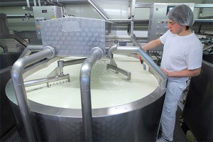 Молочники ЕС переносят производство в Россию Молочники ЕС переносят производство в Россию