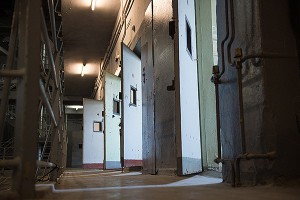 Госдума объявила амнистию Госдума объявила амнистию