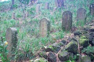 Японец три года хранил труп отца ради пенсии Японец три года хранил труп отца ради пенсии