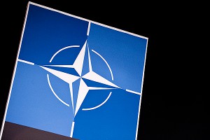 НАТО ругает Украину за медлительность НАТО ругает Украину за медлительность