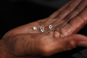 В Африке алмазы нашли благодаря растениям В Африке алмазы нашли благодаря растениям