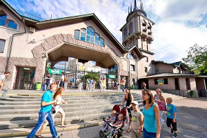 В Московском зоопарке ребенка придавило плитой В Московском зоопарке ребенка придавило плитой