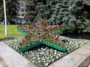 В Брянске появились устойчивые к шуму и вибрации растения