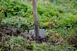 Мужчина откопал в гараже детские гробы Мужчина откопал в гараже детские гробы