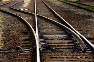 Машинист остановил поезд ради раненой кошки Машинист остановил поезд ради раненой кошки