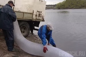 В Десну выпустили более 80 тысяч мальков стерляди