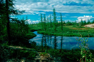 Британец открыл для себя новый мир в Сибири Британец открыл для себя новый мир в Сибири