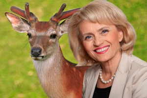 Олень попал под главу МВД Финляндии Олень попал под главу МВД Финляндии