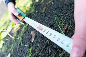 Всего 199 многодетных семей получили земельные участки