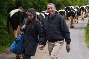 Кениец предложил Обаме обменять дочь на скот Кениец предложил Обаме обменять дочь на скот