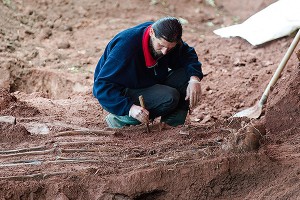 Обнаружен новый вид древнего человека Обнаружен новый вид древнего человека