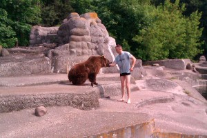 Посетитель зоопарка Варшавы избил медведицу Посетитель зоопарка Варшавы избил медведицу
