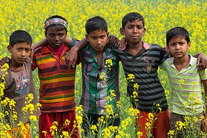 В США самыми грамотными оказались индусы В США самыми грамотными оказались индусы