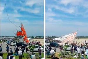 700-килограммовый змей рухнул на толпу людей 700-килограммовый змей рухнул на толпу людей