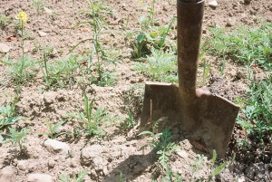 Душегуб из Карачева закопал труп жертвы в своем палисаднике