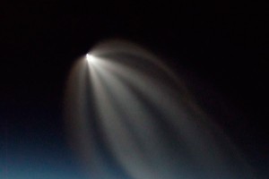 Голландцы поймали НЛО-медузу (фото) Голландцы поймали НЛО-медузу (фото)