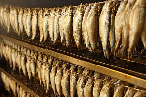 Россия разоряет прибалтийских шпротоделов Россия разоряет прибалтийских шпротоделов