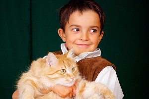 Ученые: Кошки делают детей глупыми Ученые: Кошки делают детей глупыми