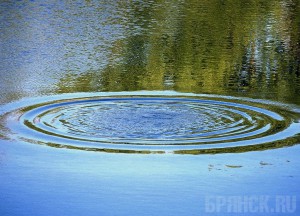 В Новозыбковском районе утонул человек