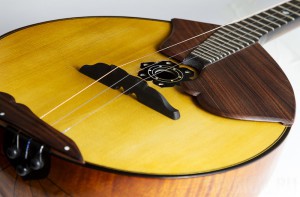 Брянская домристка отличилась на всероссийском конкурсе