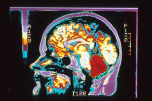 Как управлять техникой силой мысли Как управлять техникой силой мысли