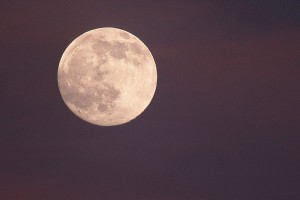 Россияне скупают участки на Луне и Марсе Россияне скупают участки на Луне и Марсе