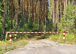 В Брянской области будут введены ограничения на посещение лесов