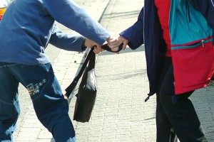 "Бабушка-ниндзя" избила грабителя "Бабушка-ниндзя" избила грабителя