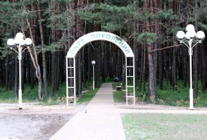 Парк поколений в Брянске облюбовали любители спиртного