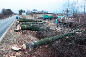 ОНФ защитил парк в Калининградской области ОНФ защитил парк в Калининградской области