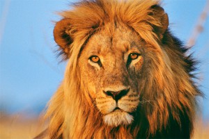 В Тбилиси прошел разрушительный ливень В Тбилиси прошел разрушительный ливень