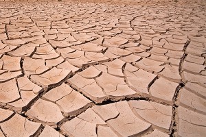 КНДР переживает сильнейшую за 100 лет засуху КНДР переживает сильнейшую за 100 лет засуху