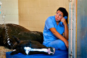 Названы самые бесперспективные профессии Названы самые бесперспективные профессии