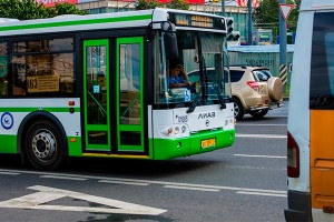 Власти Подмосковья уточнили перечень льгот Власти Подмосковья уточнили перечень льгот