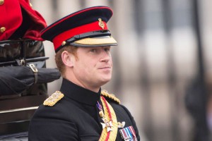 Принц Гарри бросил армию ради носорогов Принц Гарри бросил армию ради носорогов