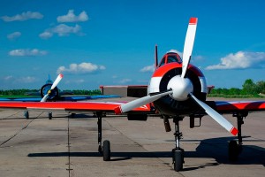 Угнанный Як-52 оказался государственным Угнанный Як-52 оказался государственным