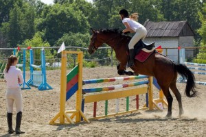 В Брянской области пройдет чемпионат по конкуру