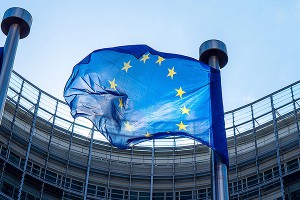 Компании из Европы стремятся обойти санкции Компании из Европы стремятся обойти санкции